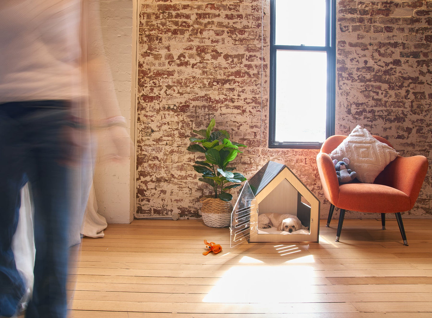 Modern Pet House Dog Crate (Black)